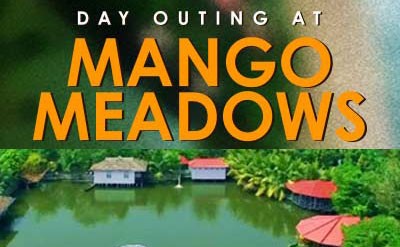 2021 – A Trip to MangoMeadows